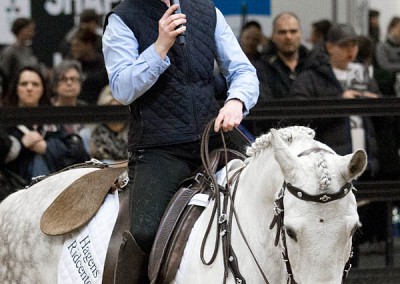 Johanna och Violino Eurohorse 2014